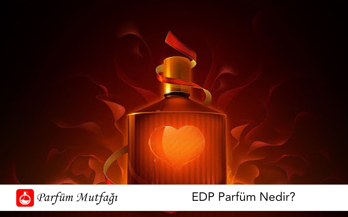 EDP Parfüm Nedir?
