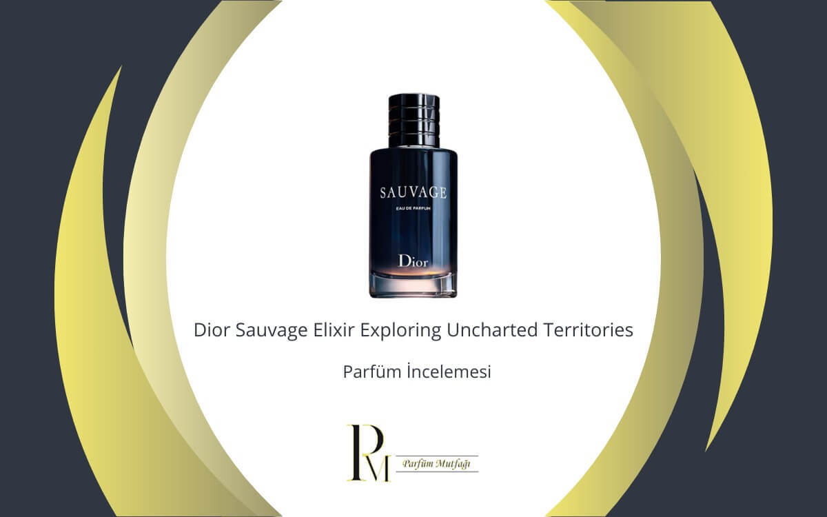 Dior Sauvage Elixir Exploring Uncharted Territories Parfüm İncelemesi