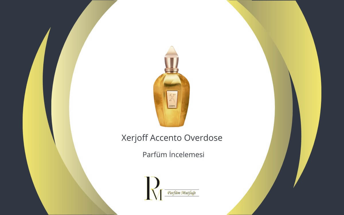 Xerjoff Accento Overdose Parfüm İncelemesi
